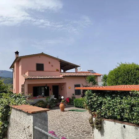 Primula By Very * 마리나디캄포