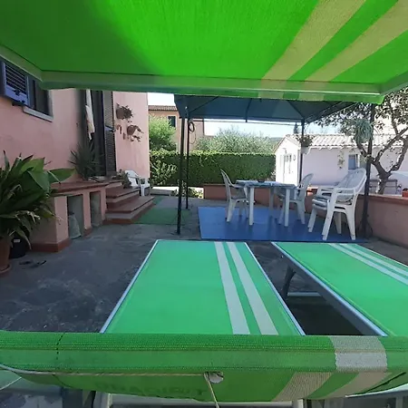 Primula By Very مارينا دي كامبو