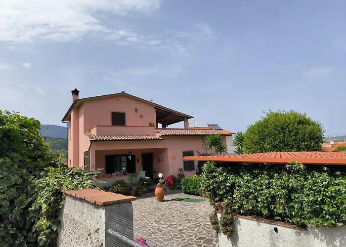 Primula By Very * 坎普码港