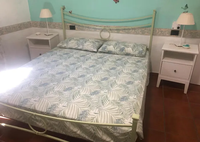 Primula By Very * 坎普码港