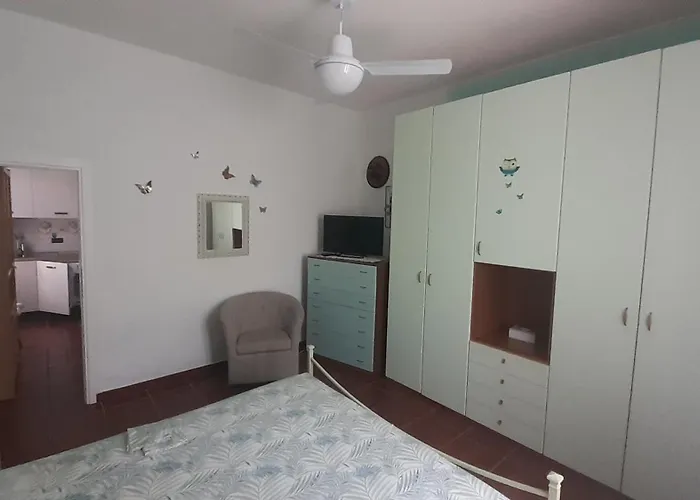 Primula By Very * 坎普码港